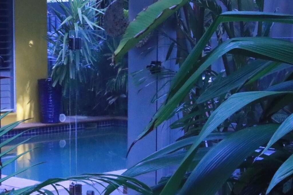 Beauty Tiny Walk To Sea Port Douglas Exterior foto