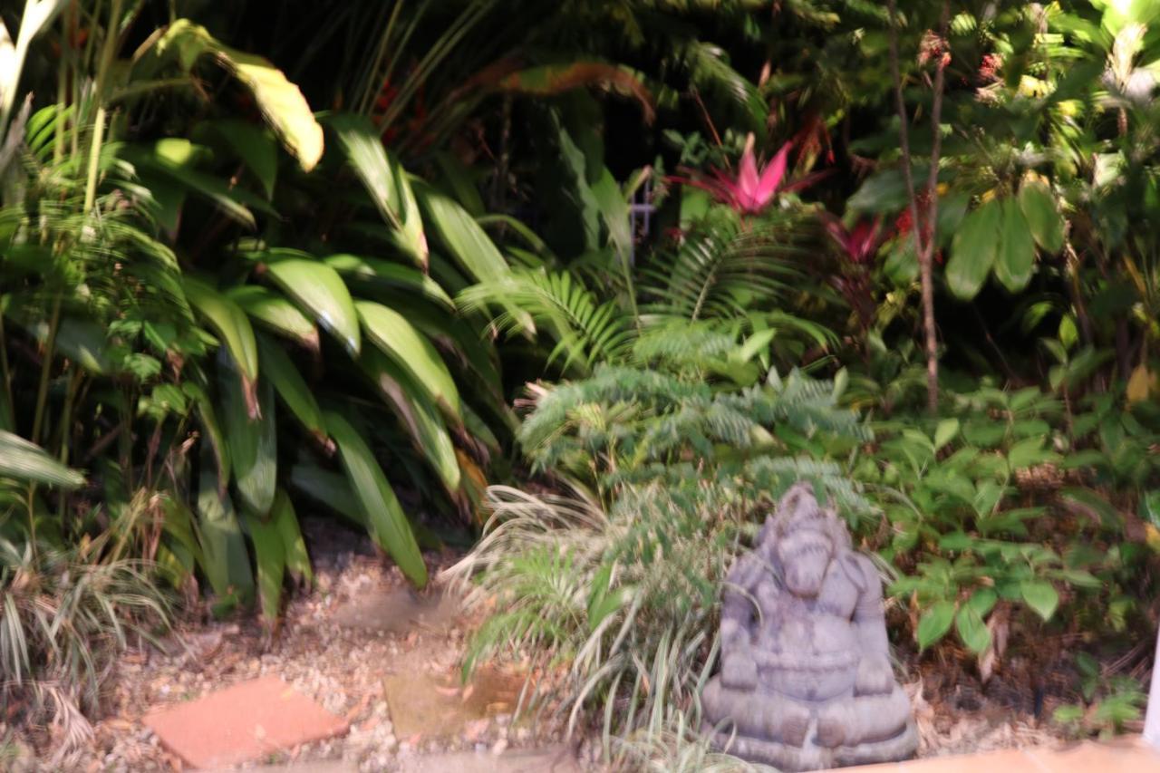 Beauty Tiny Walk To Sea Port Douglas Exterior foto